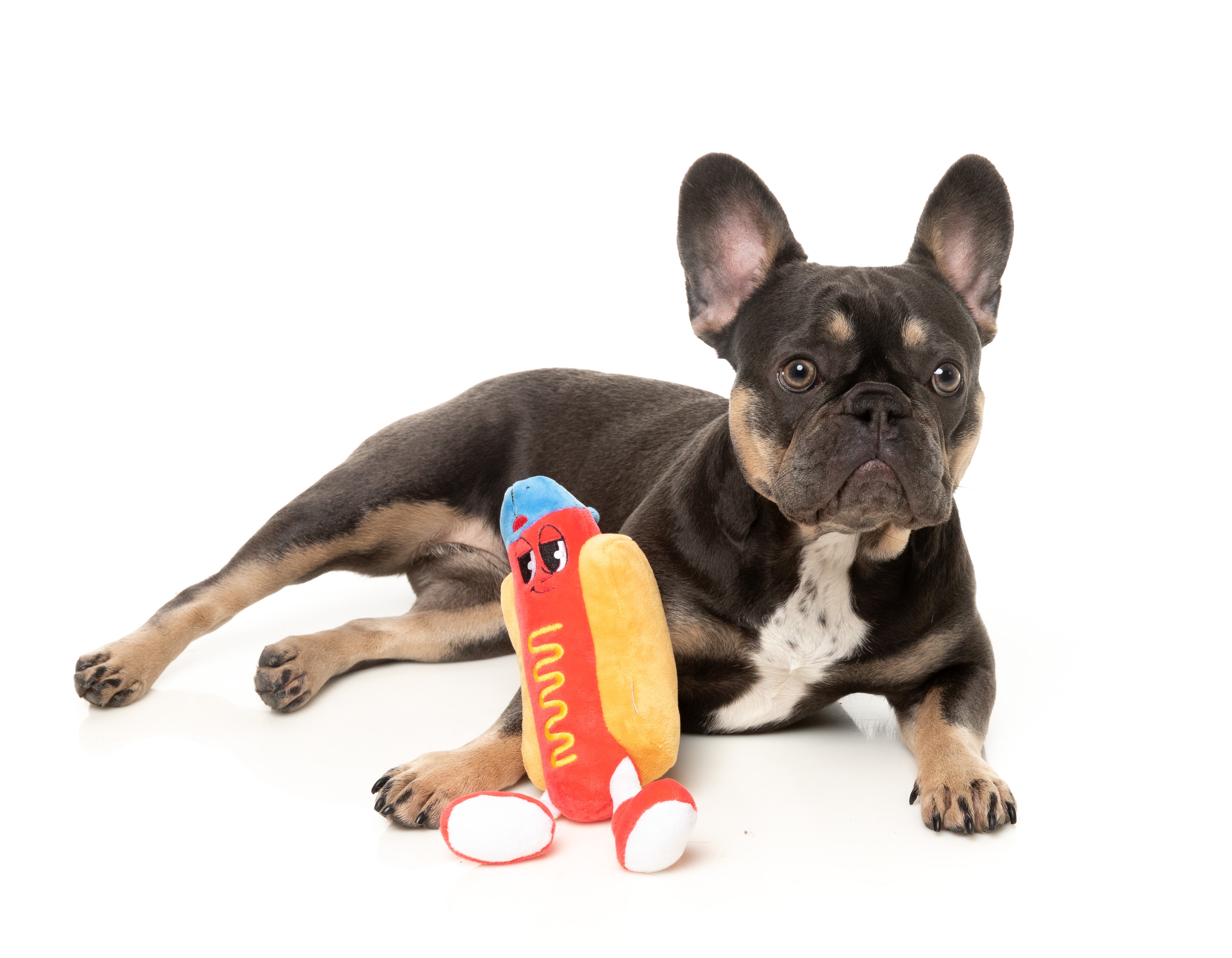 FuzzYard The Homies Squeaky Plush Dog Toy - Franky the Dog | Soft & Durable Plush Toy for Small & Medium Dogs | Perfect for Playtime, Training & Cuddling