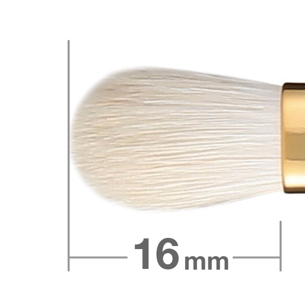 S5523 Professional Round & Flat Eyeshadow Palette - Highly Pigmented, Long-Lasting Makeup [HC0045] | Perfect for Day to Night Looks, Parties & Special Occasions