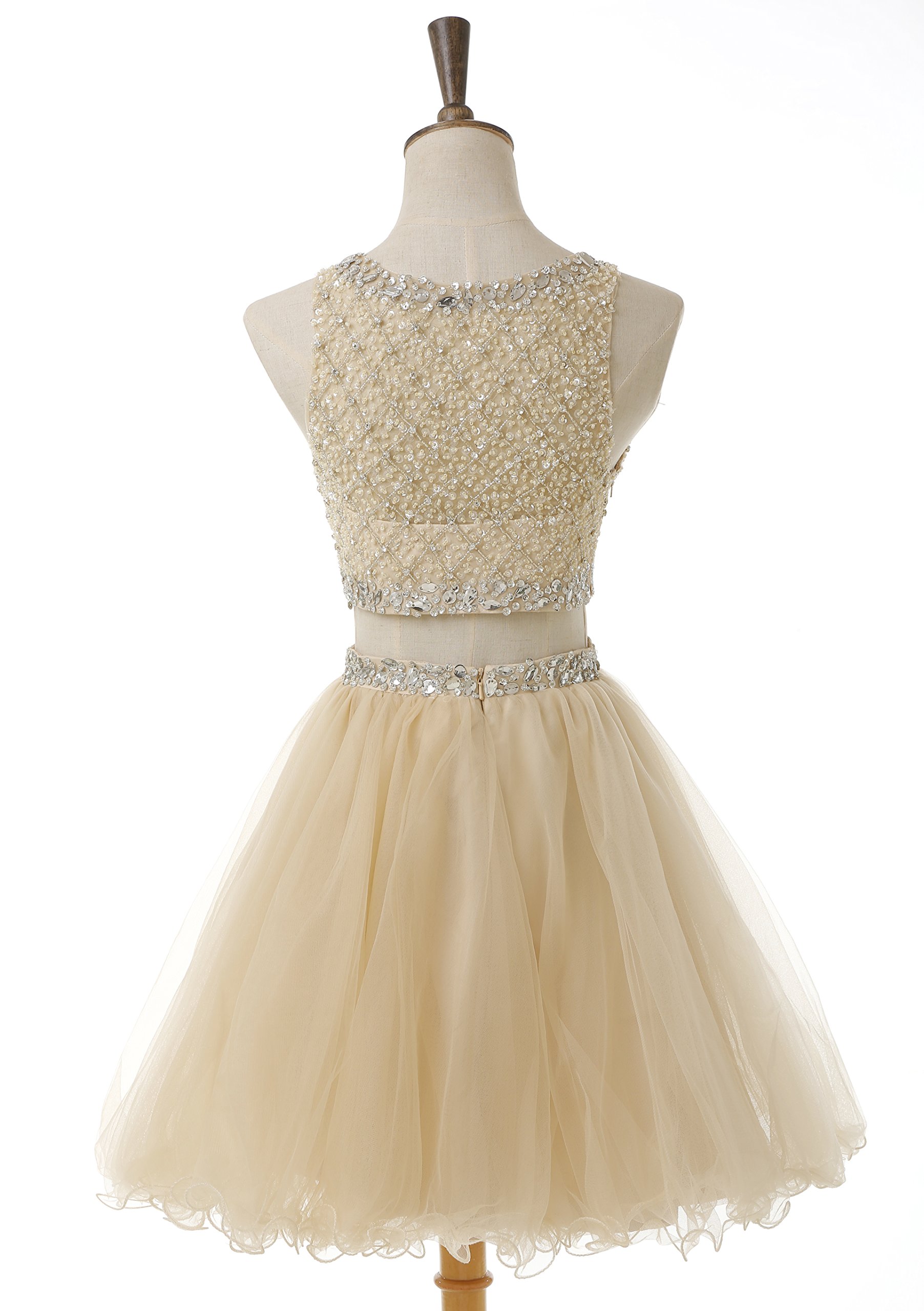 Elegant Short Two-Piece Tulle Prom Dress with Beaded Bodice - Homecoming Party Dress BD077 | Perfect for Prom Night, Homecoming Dance & Special Occasions