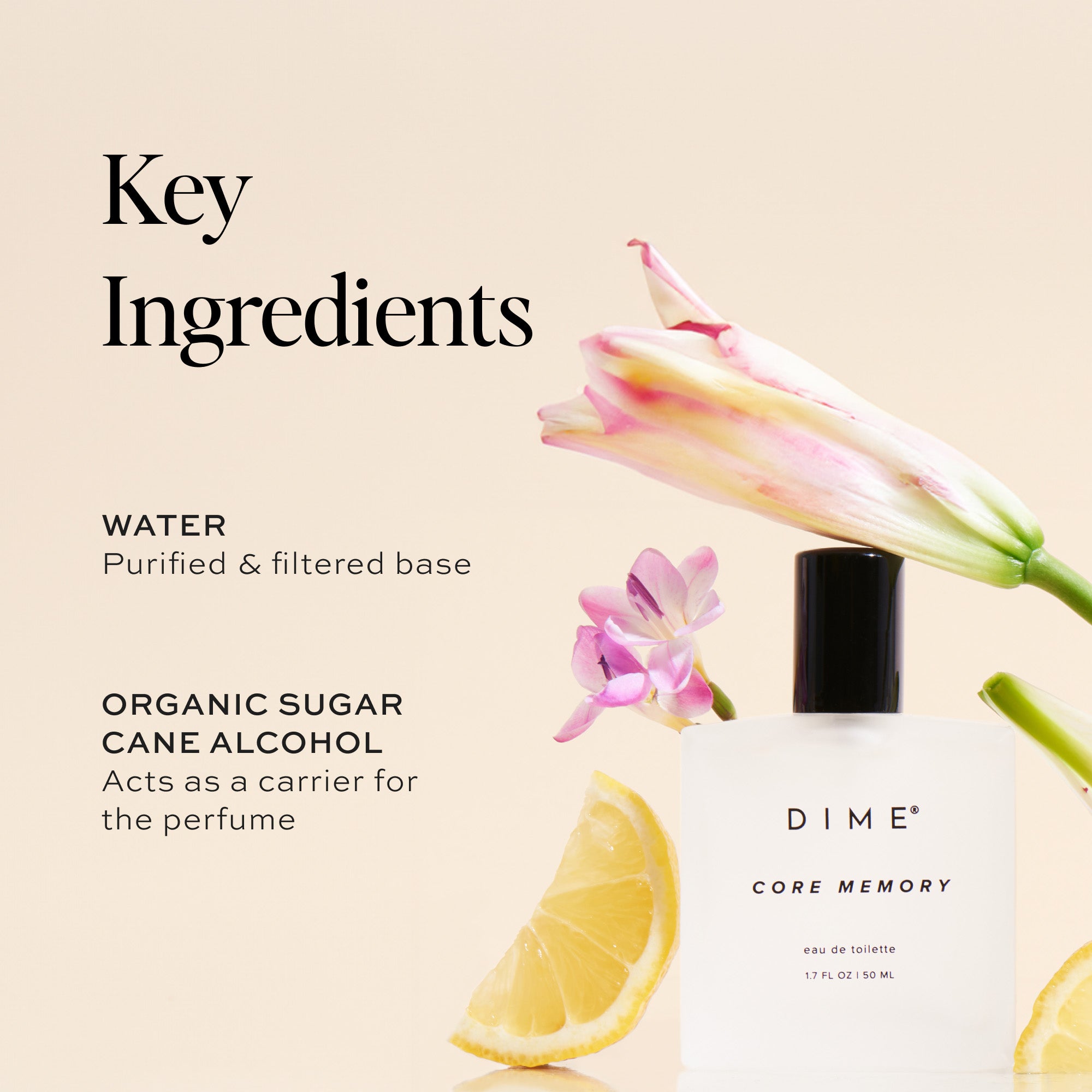 Perfume Mix & Match Duo Set - 2 Premium Fragrances for Women & Men | Perfect for Gifts, Date Nights & Special Occasions