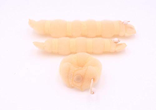 2-Pack Beige Magic Hair Donut Bun Maker Set for Women - Large & Small Hair Ring Styler, Updo Scrunchie, Chignon Hairpiece (Perfect for Parties, Weddings & Everyday Hairstyles)
