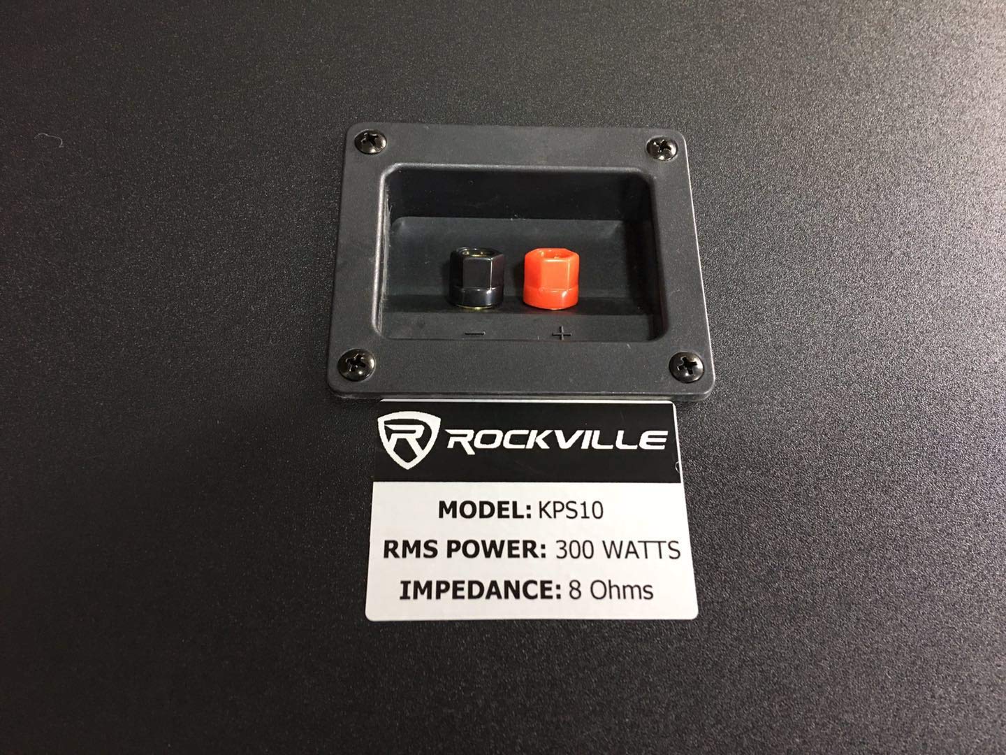 Rockville Professional Karaoke Machine System with 2x10