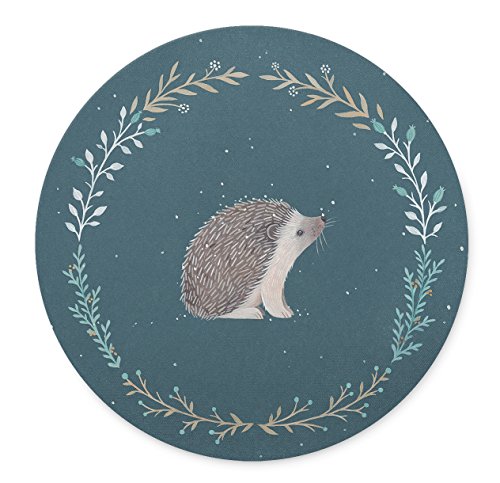 Cute little hedgehog