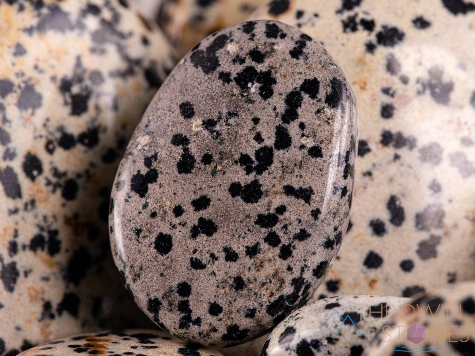 **Dalmatian Jasper Crystal Palm Stone - Natural Worry Stone for Anxiety Relief, Self-Care & Healing | Perfect for Meditation, Stress Relief & Spiritual Balance**