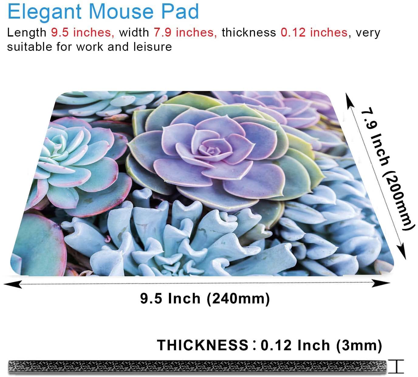 Premium Succulent Mouse Pad - Non-Slip Rubber Base, Waterproof Square Mouse Mat for Office & Laptop (9.5