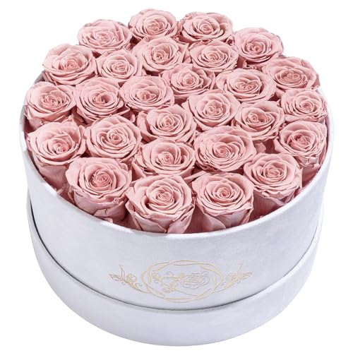 Dusty Rose