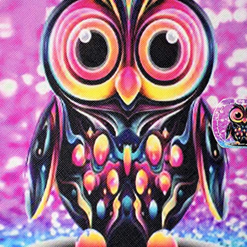 01 Owl