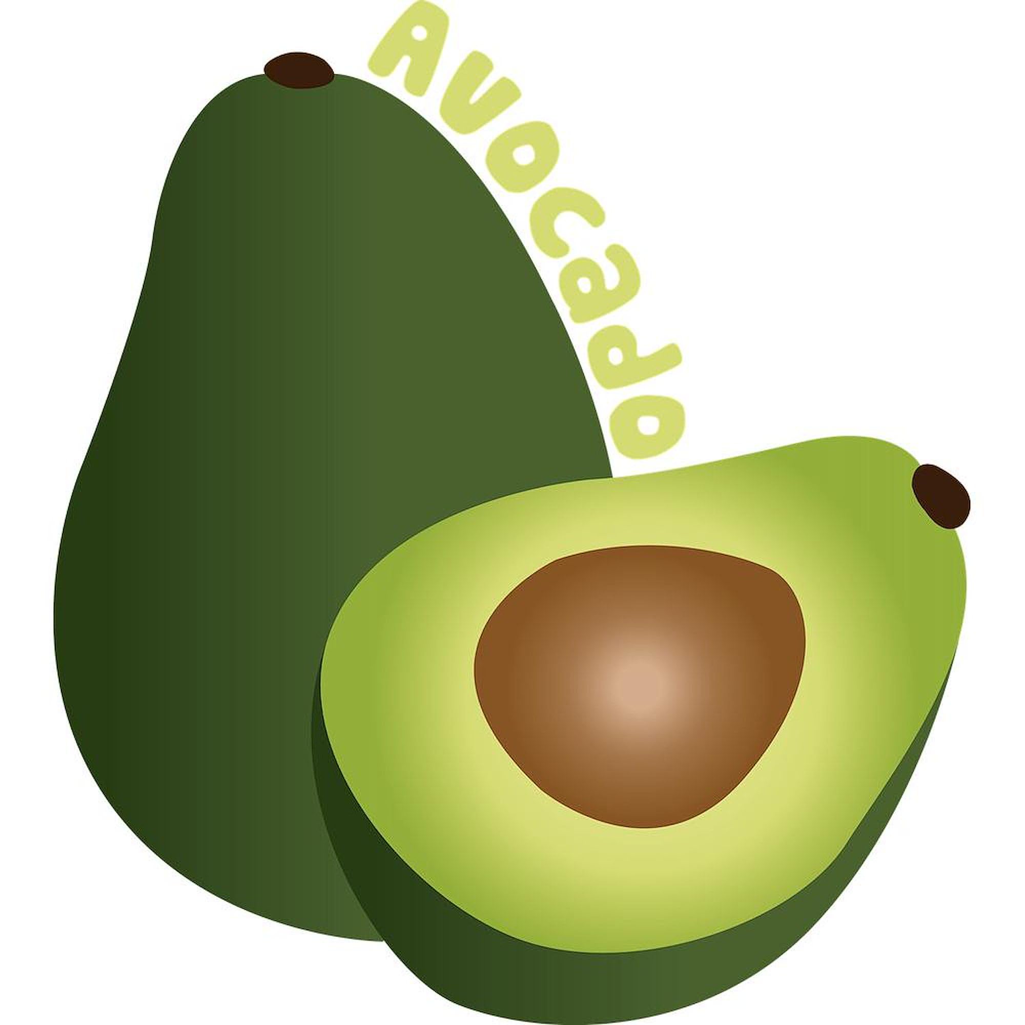 Avocado Themed 11 oz (325 ml) Ceramic Coffee Mug - Perfect for Tea, Hot Chocolate & Office Use - Funny Gift for Avocado Lovers