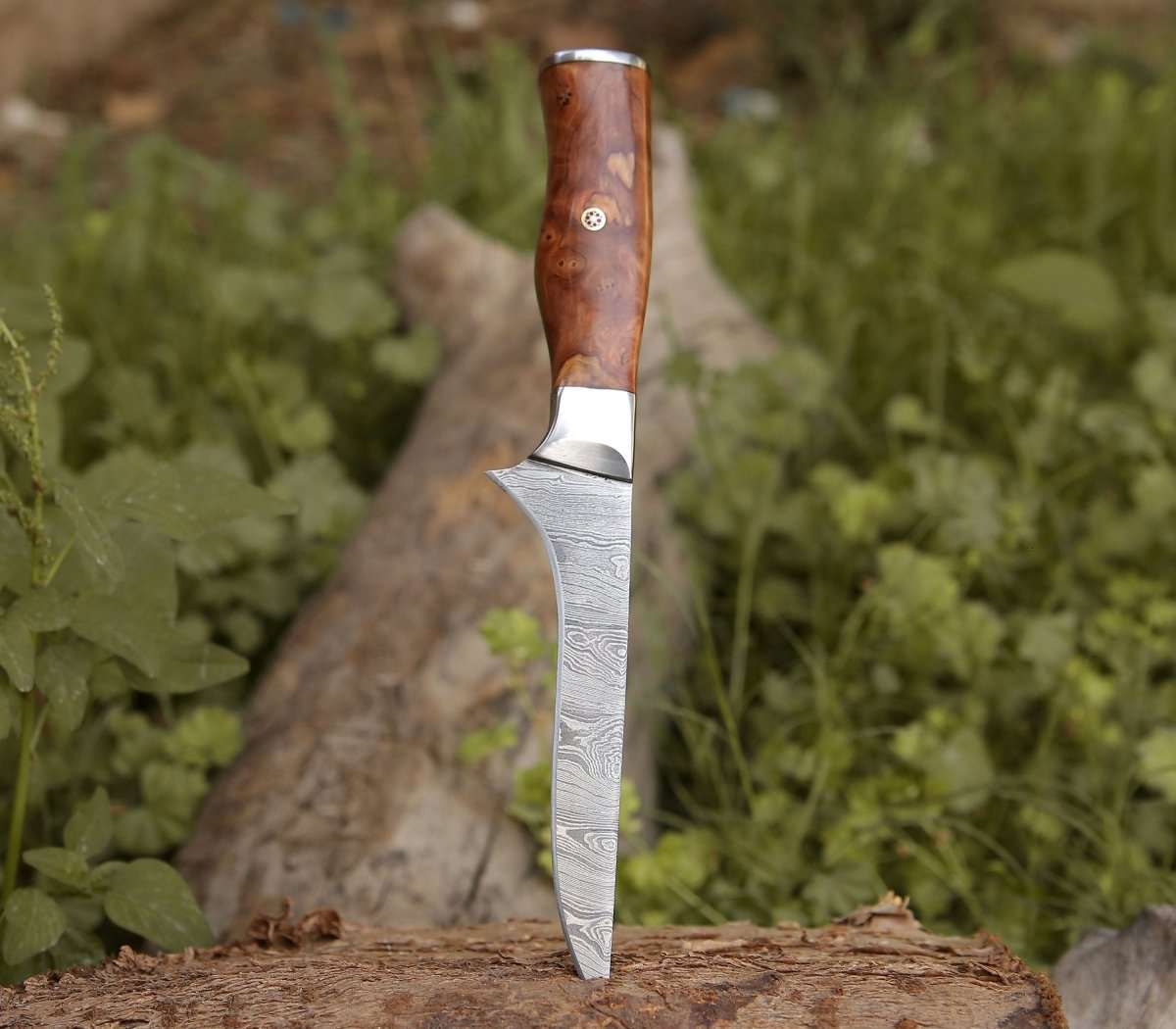 Premium Concord Damascus Fillet Knife with Exotic Olive Wood Handle - Sharp Fishing Knife for Filleting Fish, Slicing Meat & Outdoor Cooking - Perfect for Chefs, Anglers & Camping Enthusiasts