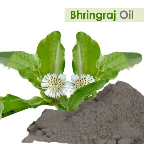 100% Pure & Natural Bhringraj Oil (Eclipta Alba) - Undiluted Cold Pressed Hair Growth Oil for Aromatherapy, Scalp Massage & Skin Care - Therapeutic Grade Ayurvedic Treatment - 30ml by Salvia - Perfect for Daily Hair Routine & Relaxing Spa Nights
