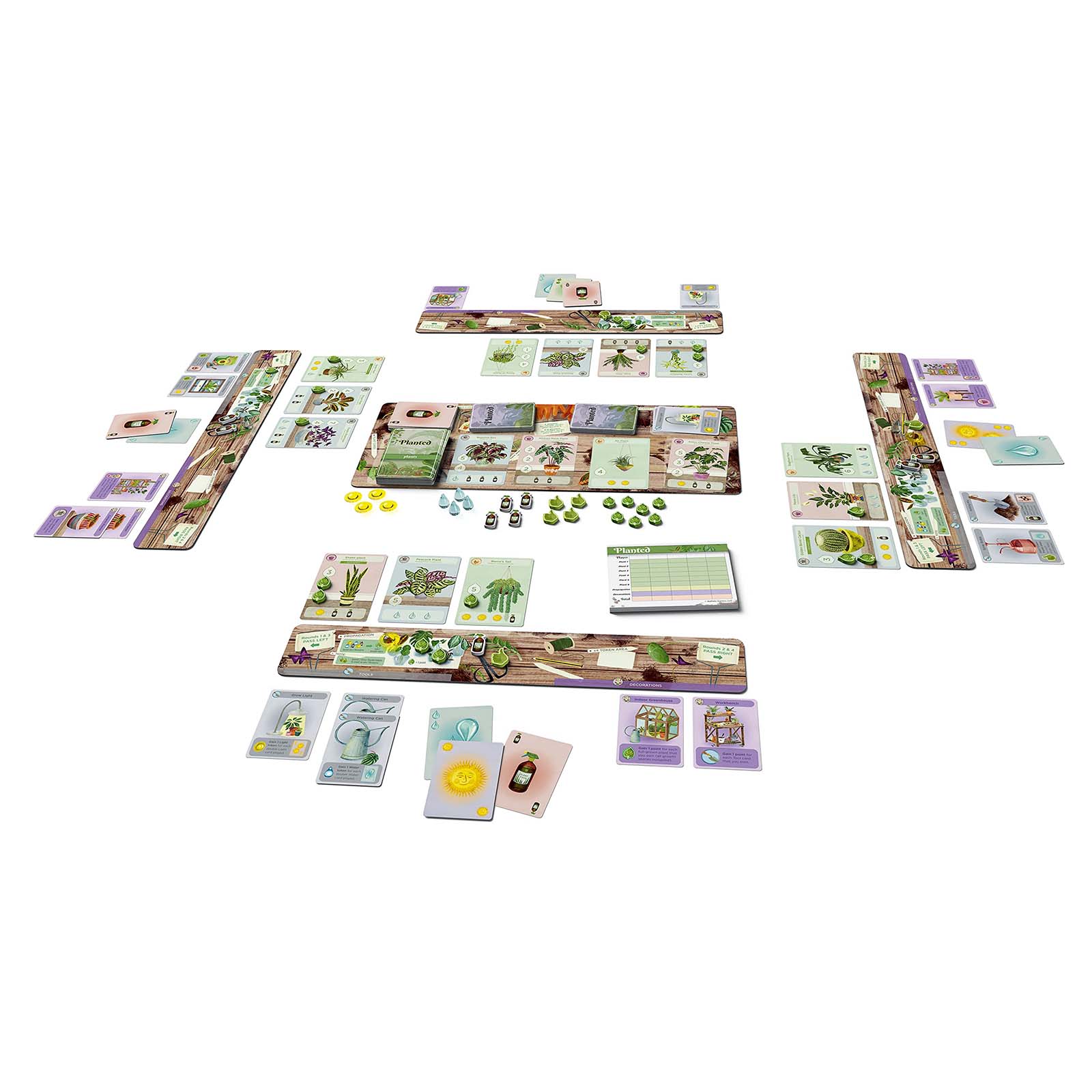 Buffalo Games Planted Board Game - Fun Family Strategy Game for Adults & Kids - Perfect for Game Nights & Indoor Activities