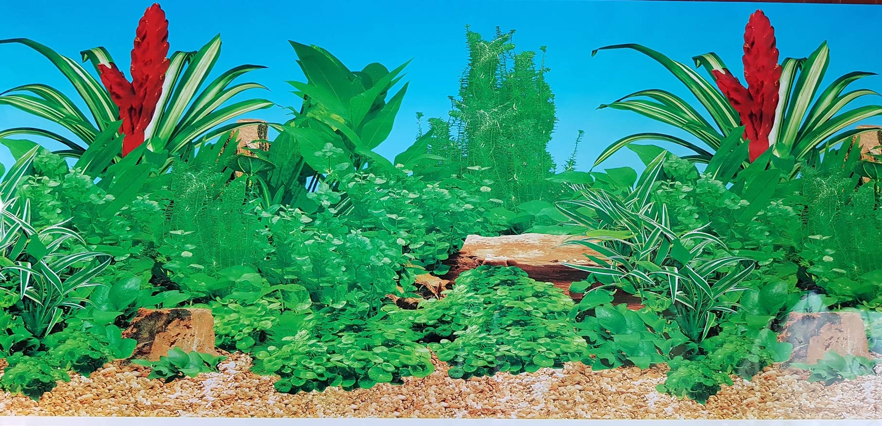 Double Sided Aquarium Background Decor 60