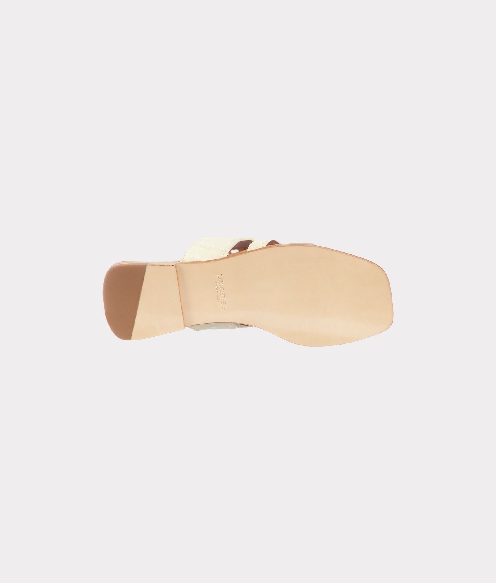 Fiorella Dog Chew Bone - Natural & Durable Dog Treat for Aggressive Chewers - Perfect for Teething Puppies & Large Breed Dogs - Great for Indoor & Outdoor Playtime