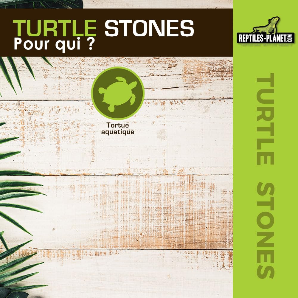Natural Turtle Stones for Aquarium & Terrarium - 4.5kg (10 lbs) Decorative Rocks for Reptile Tanks, Fish Tanks, and Aquatic Habitats - Perfect for Basking, Hiding, and Decorating