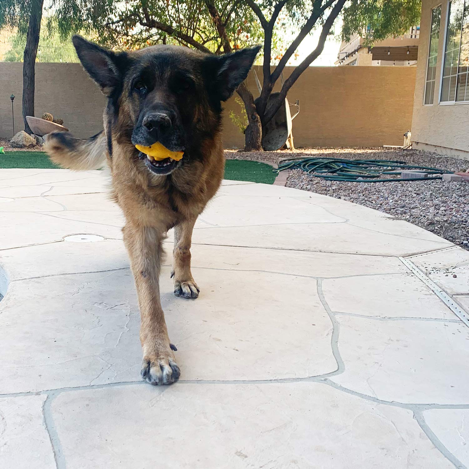 4 Inch Latex Dog Squeaky Toys - 6 Pack Soft Rubber Chew Toys for Small & Medium Dogs, Puppy Teething & Play - Durable Fetch Ball for Indoor/Outdoor Fun - Perfect for Training, Boredom Relief & Bonding Time