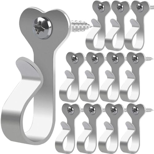 20 pack silver