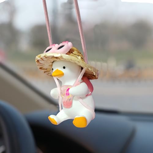 Car Hanging Duck Glass