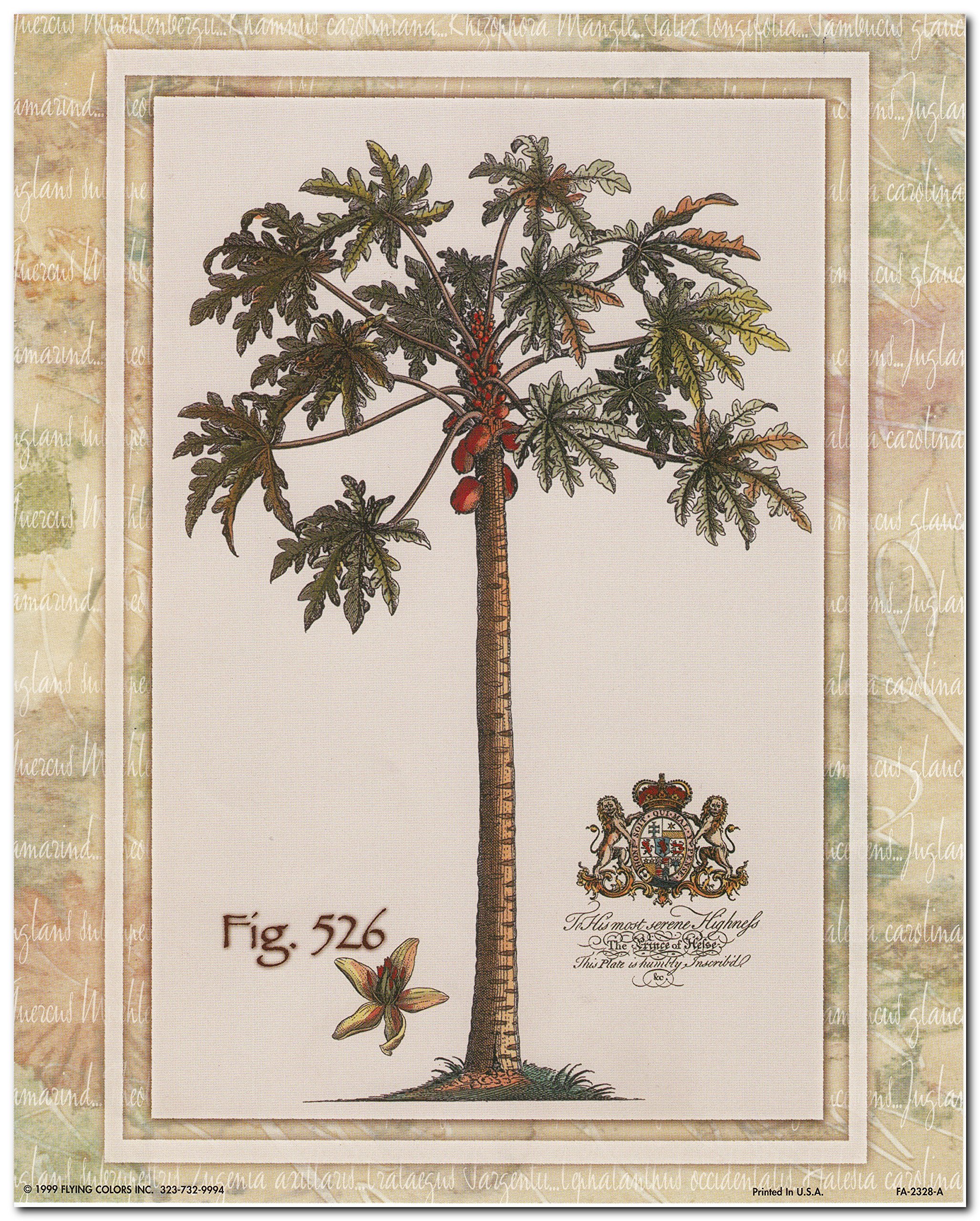 Vintage Palm Tree Wall Art - Tropical Botanical Print Poster 16x20 - Perfect for Beach House, Boho Decor & Living Room Wall Decor