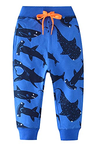 Shark