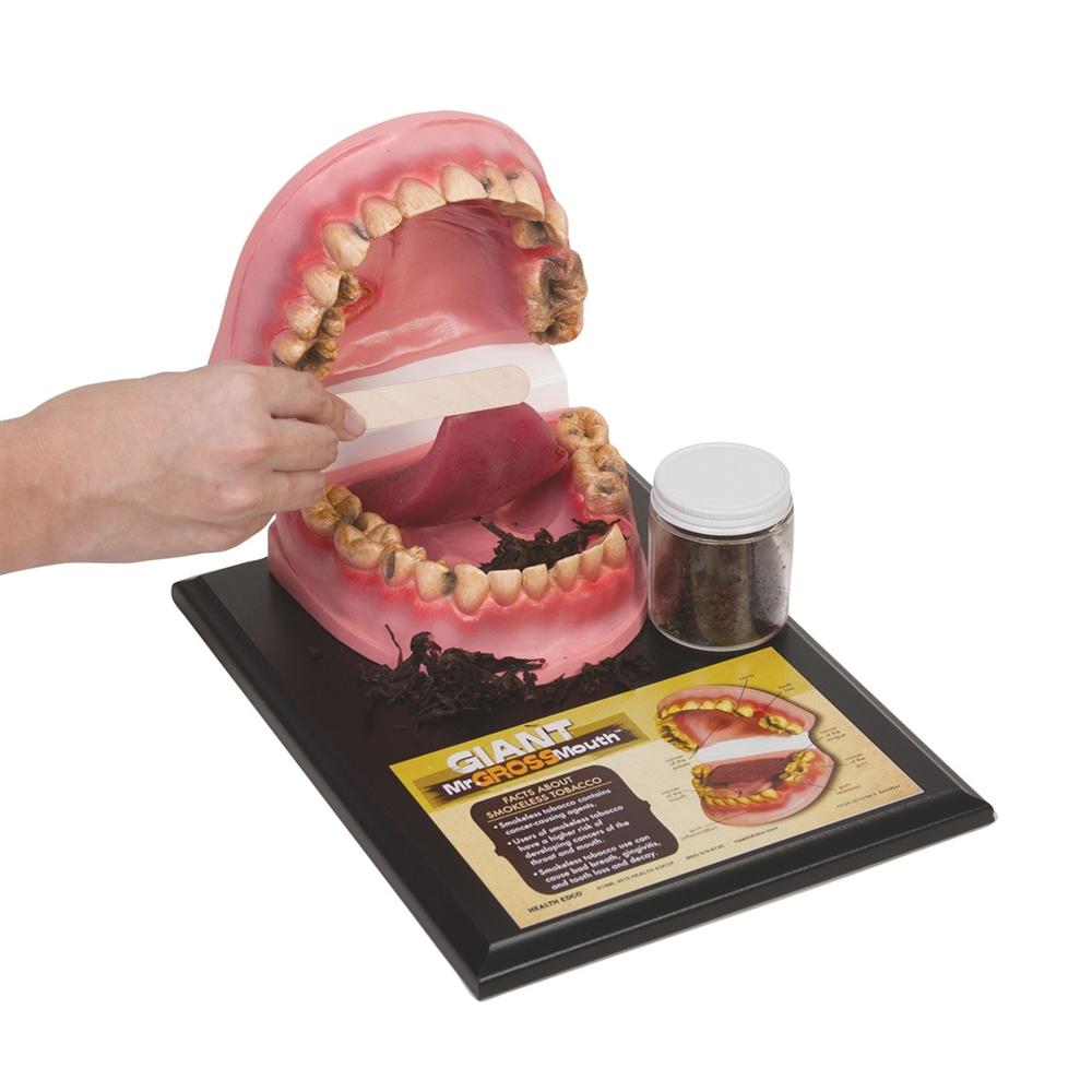 Giant Mr. Gross Mouth - Fun & Interactive Kids Toy for Pretend Play, Halloween Props & Party Favors - Perfect for Classroom, Birthday Parties & Spooky Decorations