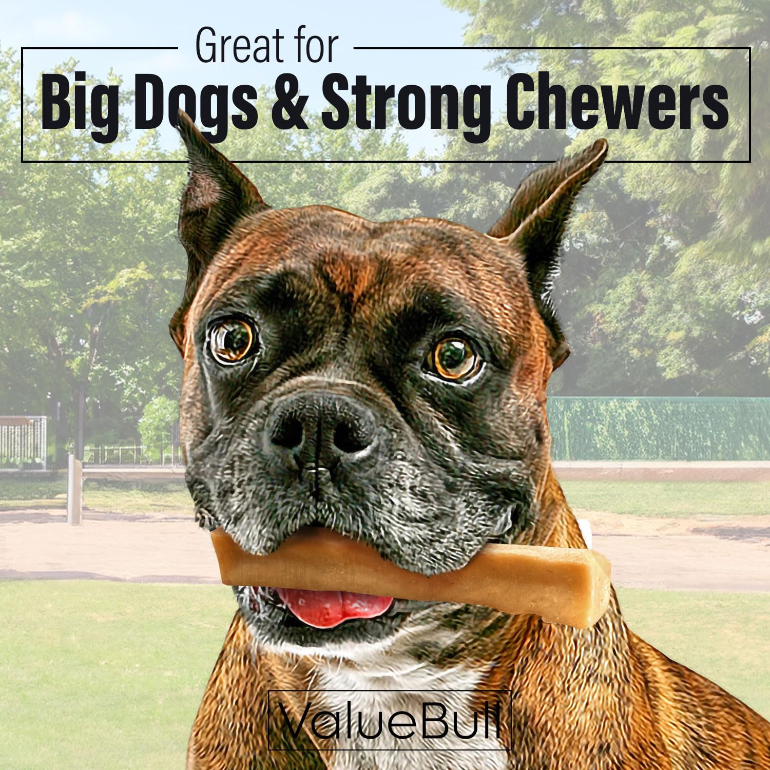 Himalayan Yak Cheese Dog Chews for Aggressive Chewers - 6 lb Bulk Pack | All-Natural, Long-Lasting & Low Odor Yak Milk Treats | Healthy Dog Chews for Large Breeds | Perfect for Training Rewards & Dental Health