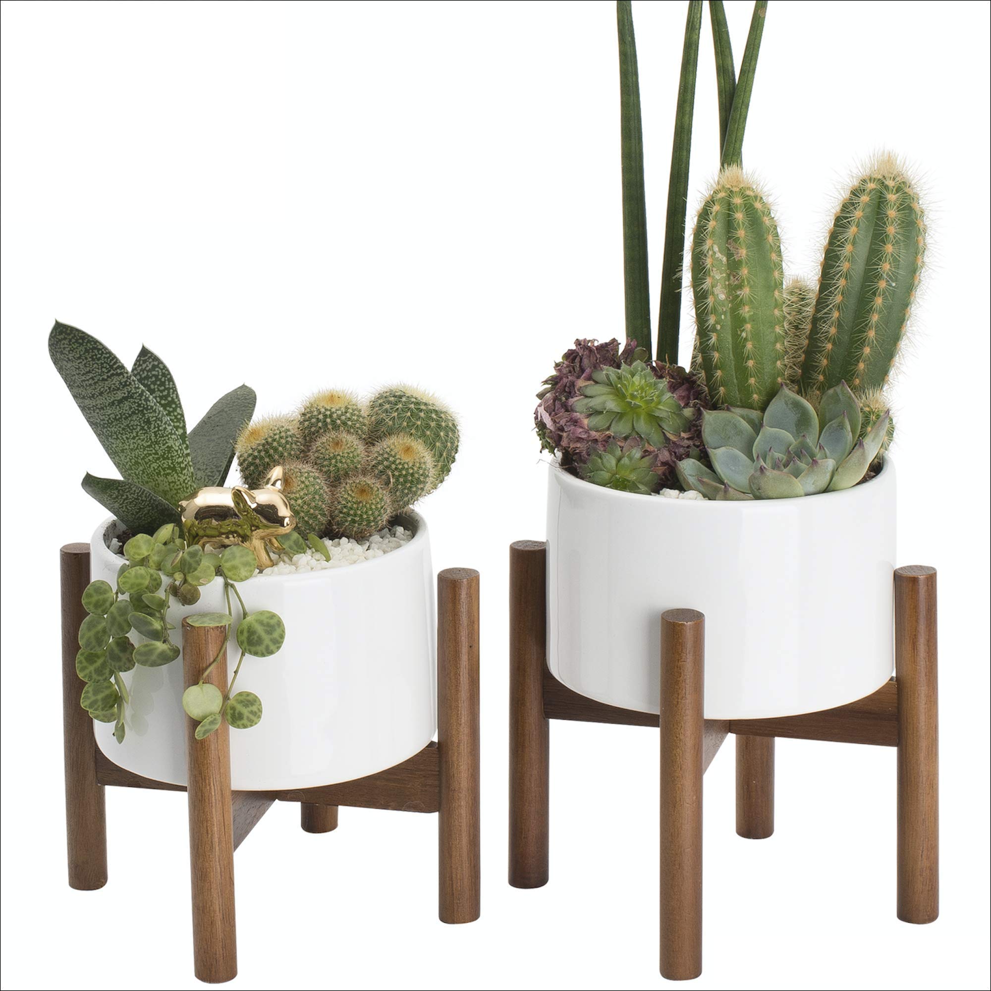 2 Pack White Ceramic Succulent Planters with Wood Stand - 5 Inch Mid Century Modern Tabletop Pots with Hidden Saucer & Drainage for Cactus, Air Plants - Indoor Home Decor, Shelf Decor, Office Desk Decor