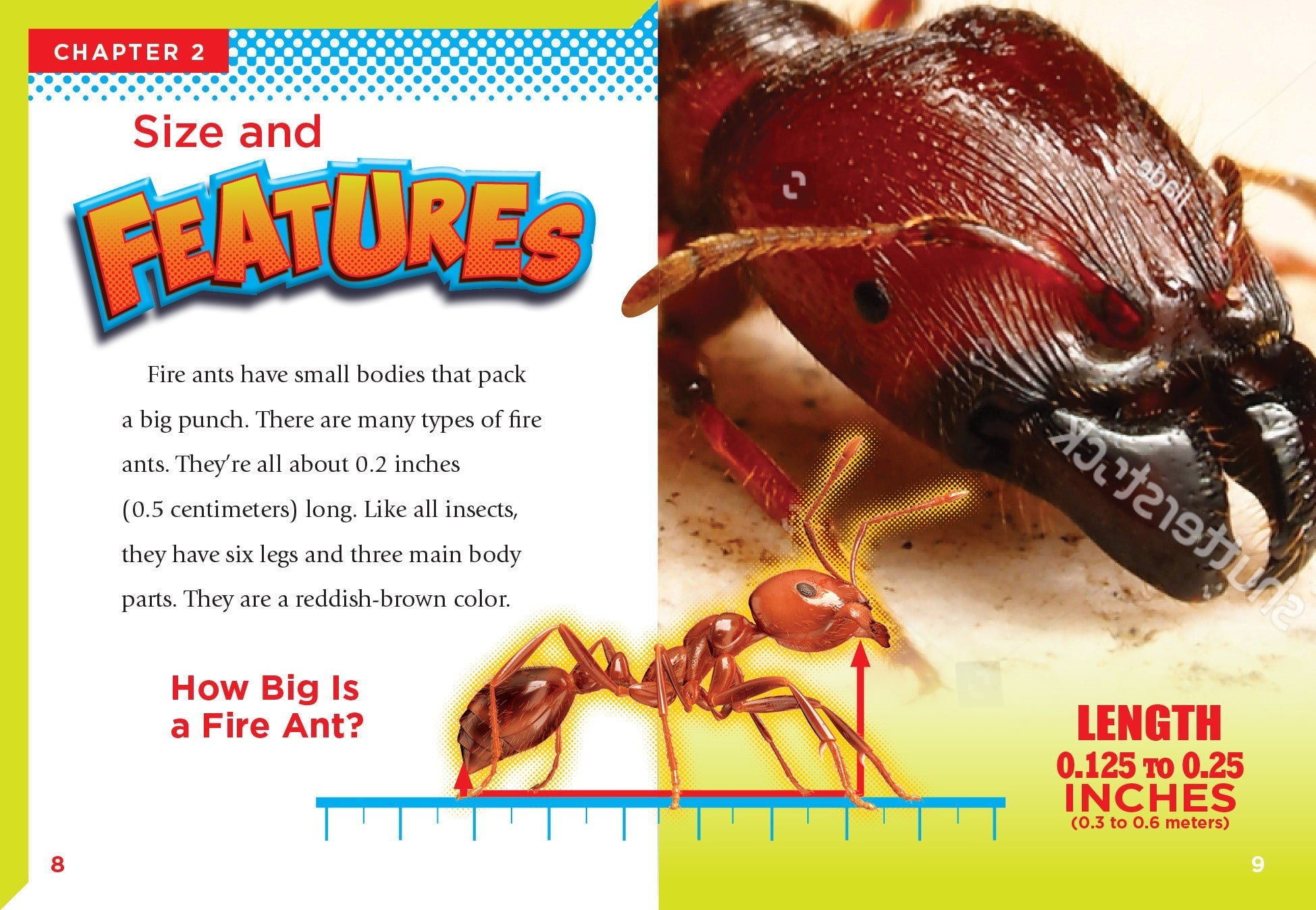 Fire Ants Book 9781623105778 - Learn About Fire Ants Behavior, Habitat & Control - Perfect for Entomology Students & Pest Control Professionals