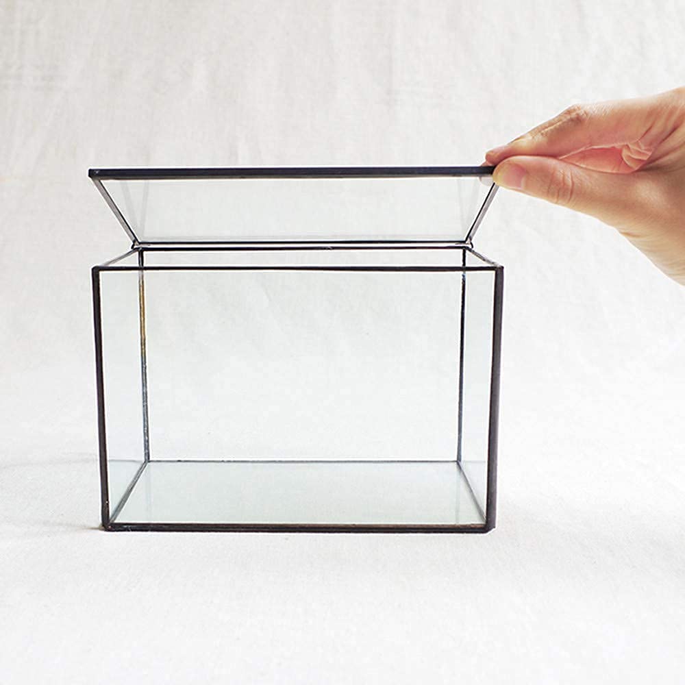 Black Glass Geometric Terrarium with Lid - 6.7