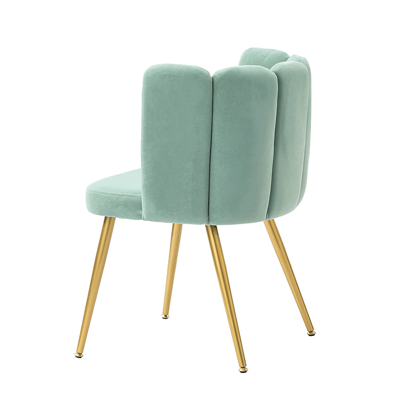 Elodia Side Chair - Modern Accent Chair for Dining Room, Living Room & Office - Sturdy Wooden Frame with Upholstered Seat - Perfect for Home Decor & Small Spaces