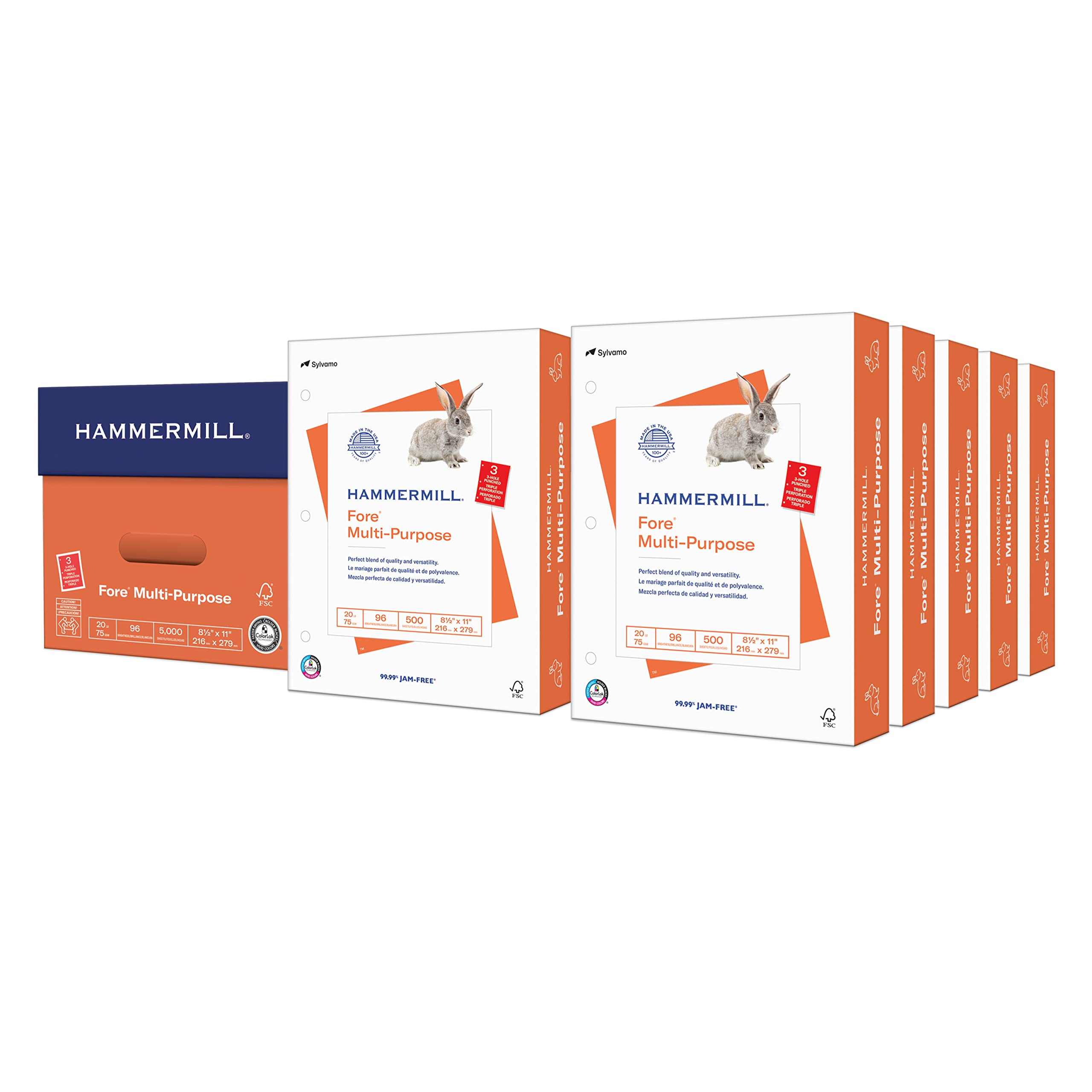 Hammermill Printer Paper, 20 lb Multipurpose Copy Paper, 3-Hole Punched, 10 Reams (5,000 Sheets), 96 Bright, Made in USA, 103275C – Perfect for Office, School, and Home Printing Needs