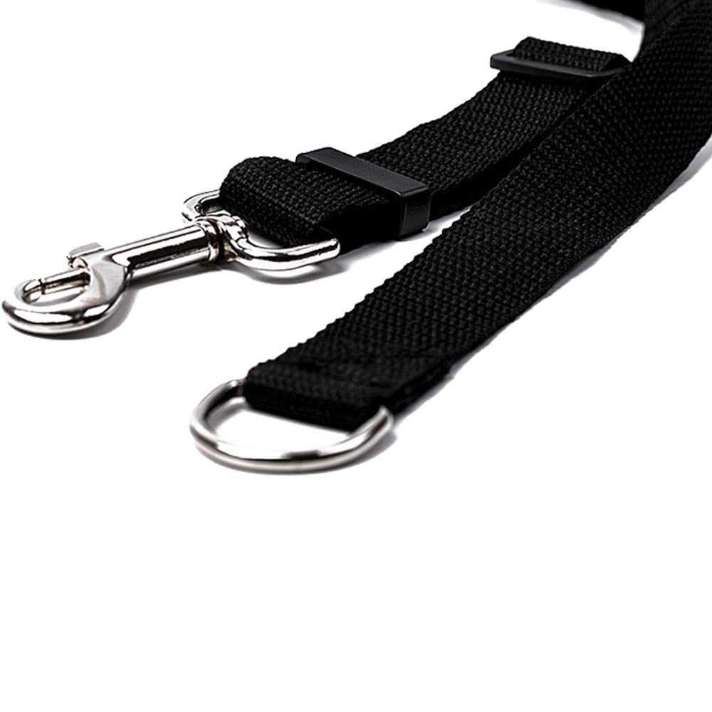 Drema Black Heavy-Duty Nylon Dog Training Leash - 10ft/20ft Retractable Lead for Puppy Obedience, Recall & Agility Training | Perfect for Outdoor Play, Safety, Camping, Backyard & Daily Walks