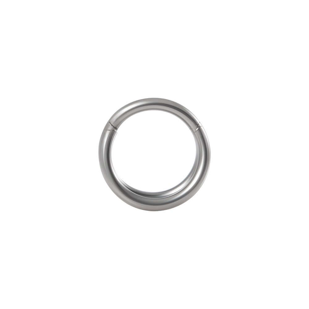 Gothic Snake Bee Nose Ring - Stainless Steel Body Jewelry DL7192 for Women | Perfect for Goth Fashion, Piercing Lovers & Alternative Style Accessories