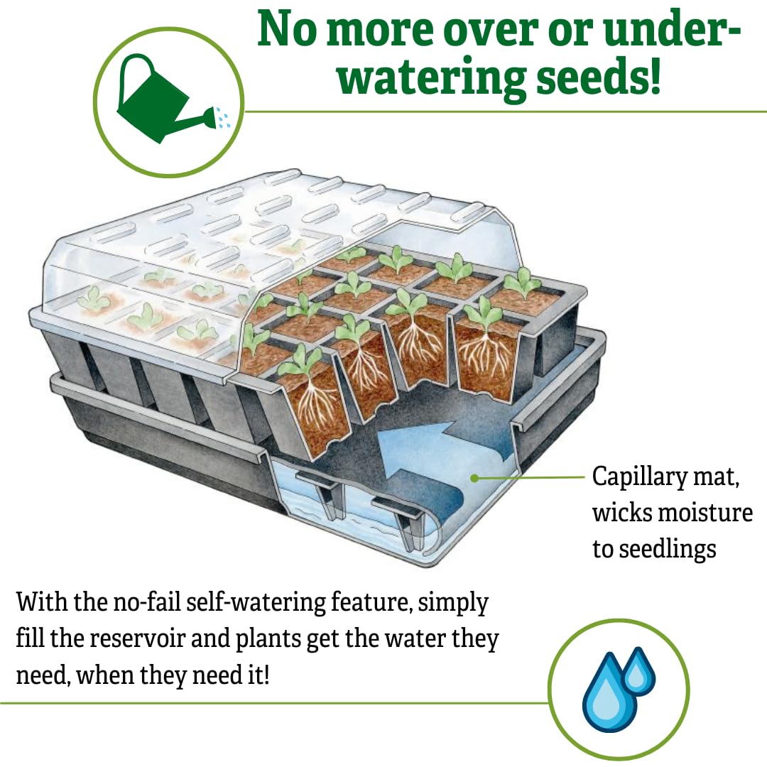 Gardener's Supply Company GrowEase Self-Watering Seed Starting Kit - 12-Cell Seedling Tray with Capillary Mat, Water Reservoir & Clear Germination Dome | Indoor Greenhouse Gardening Supplies for Herbs, Vegetables & Flowers | Perfect for Home Gardeners & Beginners