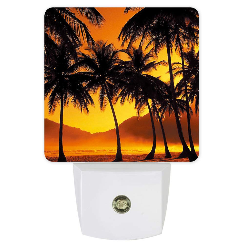 Plug-in LED Night Light with Coconut Tree Silhouette - Dusk-to-Dawn Motion Sensor Night Lamp for Bedroom, Kitchen, Hallway & Stairs | Wall Outlet Nightlight for Kids, Adults & Home Safety