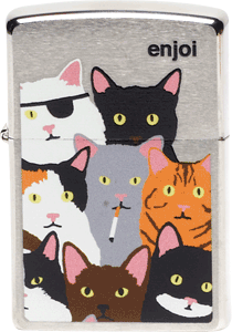 Enjoi Burnt Kitty Zippo Lighter in Nickel Finish - Stylish Windproof Metal Lighter for Outdoor Camping, Smoking & Collectors