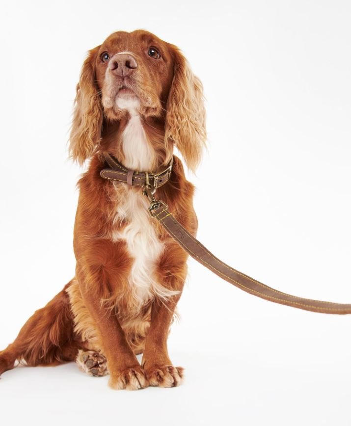 BARBOUR Leather Dog Lead - Premium Brown Leather Dog Leash for Medium & Large Dogs - Durable & Stylish for Walking, Training & Outdoor Adventures