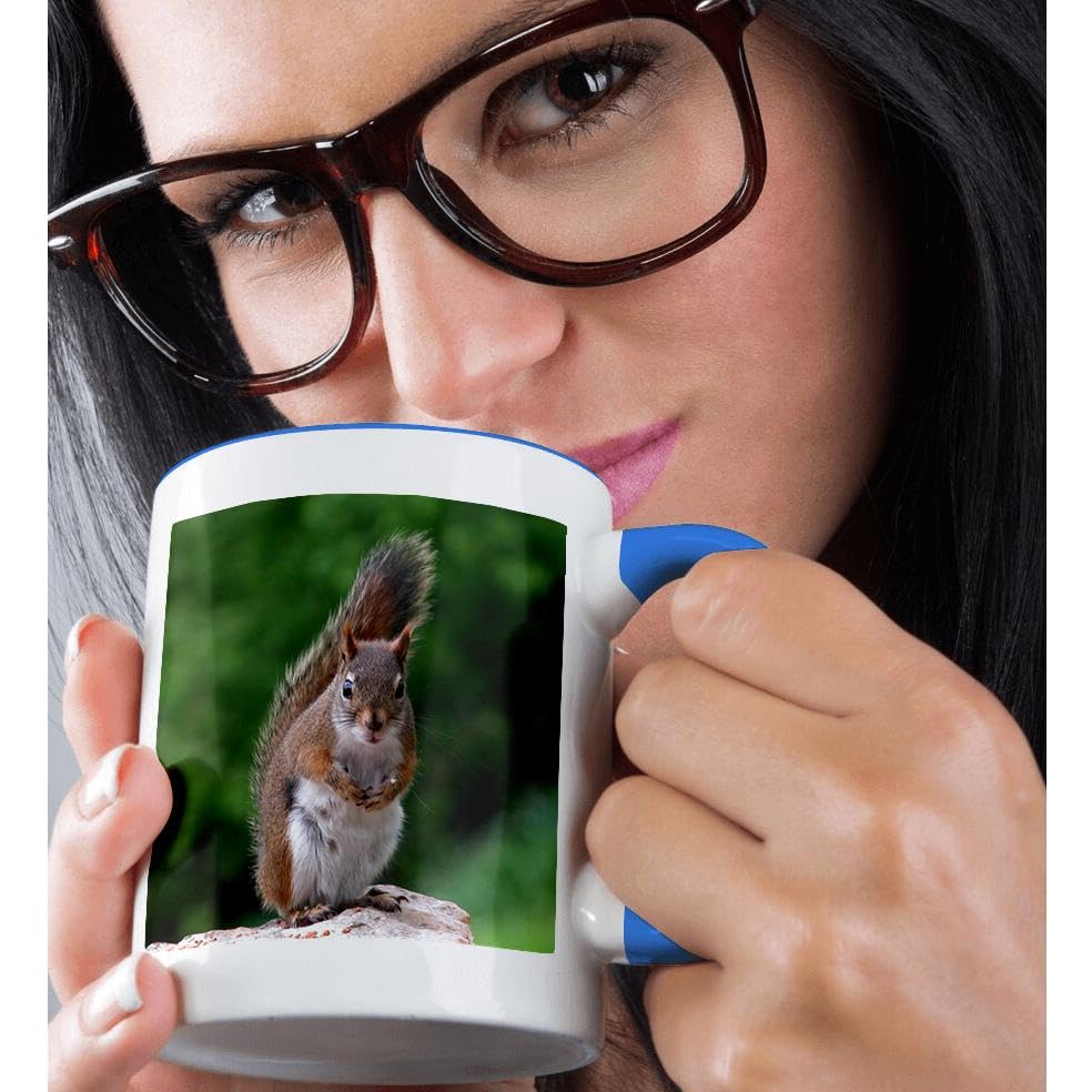 3dRose Funny Red Squirrel Ceramic Coffee Mug - Blue & White Design | Perfect for Office, Home Use & Gift Giving