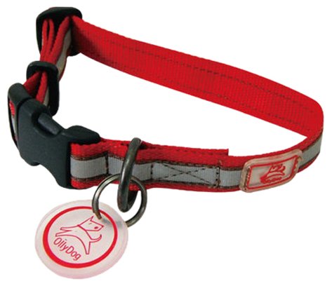 OllyDog Nightlife II LED Dog Collar - Reflective & Waterproof Pet Safety Collar for Night Walks, Jogging, and Outdoor Adventures