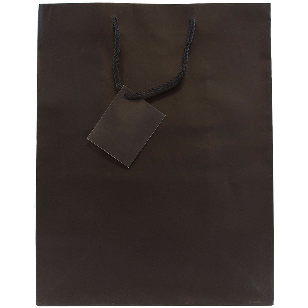 Premium JAM Paper Gift Bags with Rope Handles - Large 10