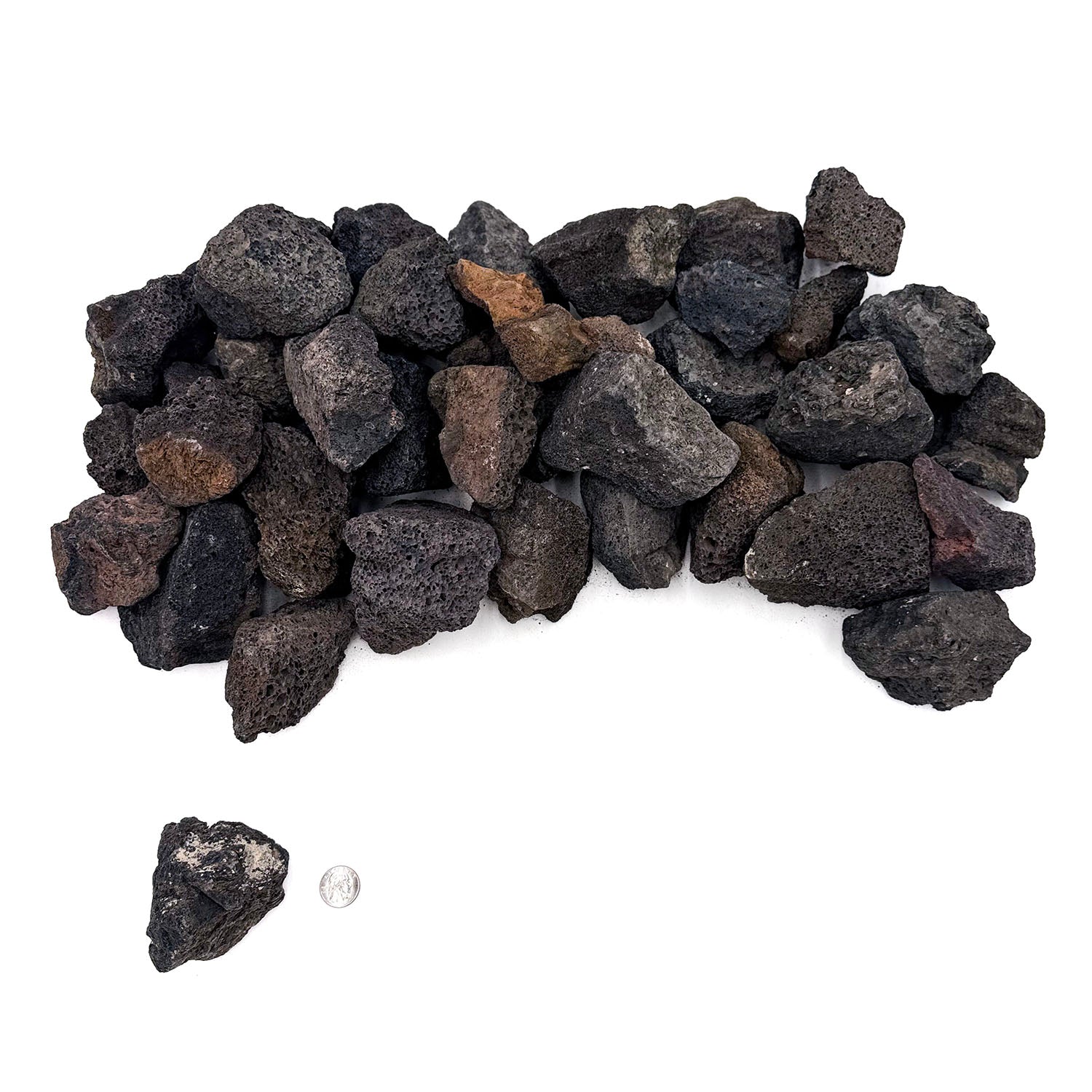 Premium Black Lava Rock for Aquariums - Natural Filtration & Decoration - Ideal for Fish Tanks, Shrimp Habitats & Aquatic Plant Scaping