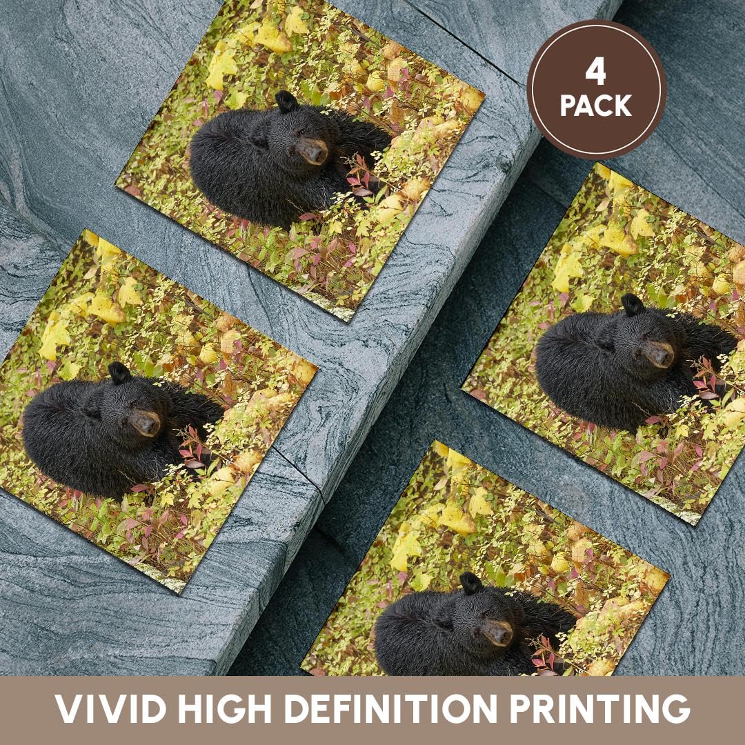 3dRose Black Bear in Autumn Foliage Yellowstone National Park Ceramic Tile Coasters - Set of 4, Nature-Themed Drink Coasters for Home, Office, or Cabin Decor