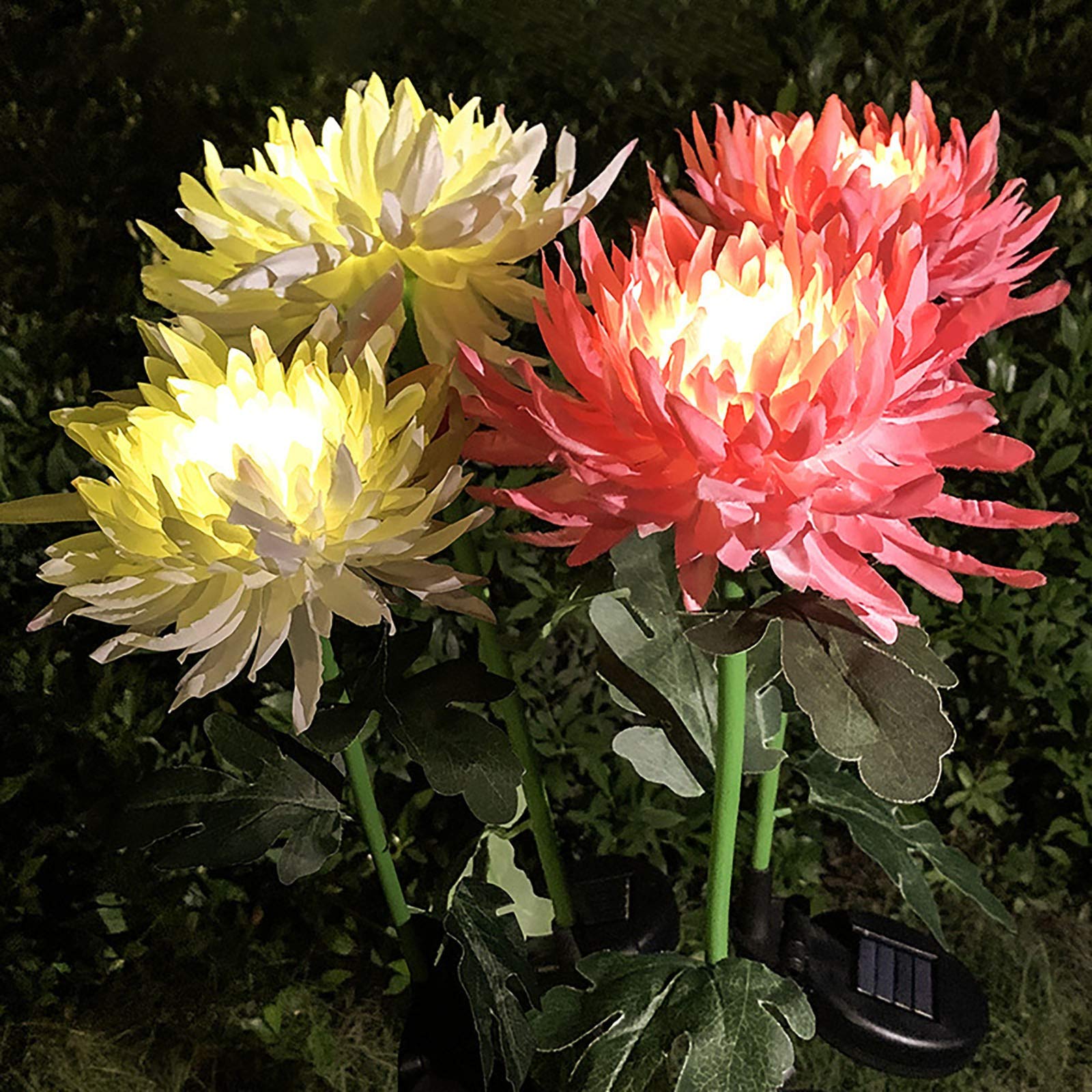 Solar Powered Outdoor Garden Lights - Waterproof Chrysanthemum Flower Stake Lights for Pathway, Yard & Patio Decor | Landscape Lighting for Gardens, Walkways & Backyard Ambience