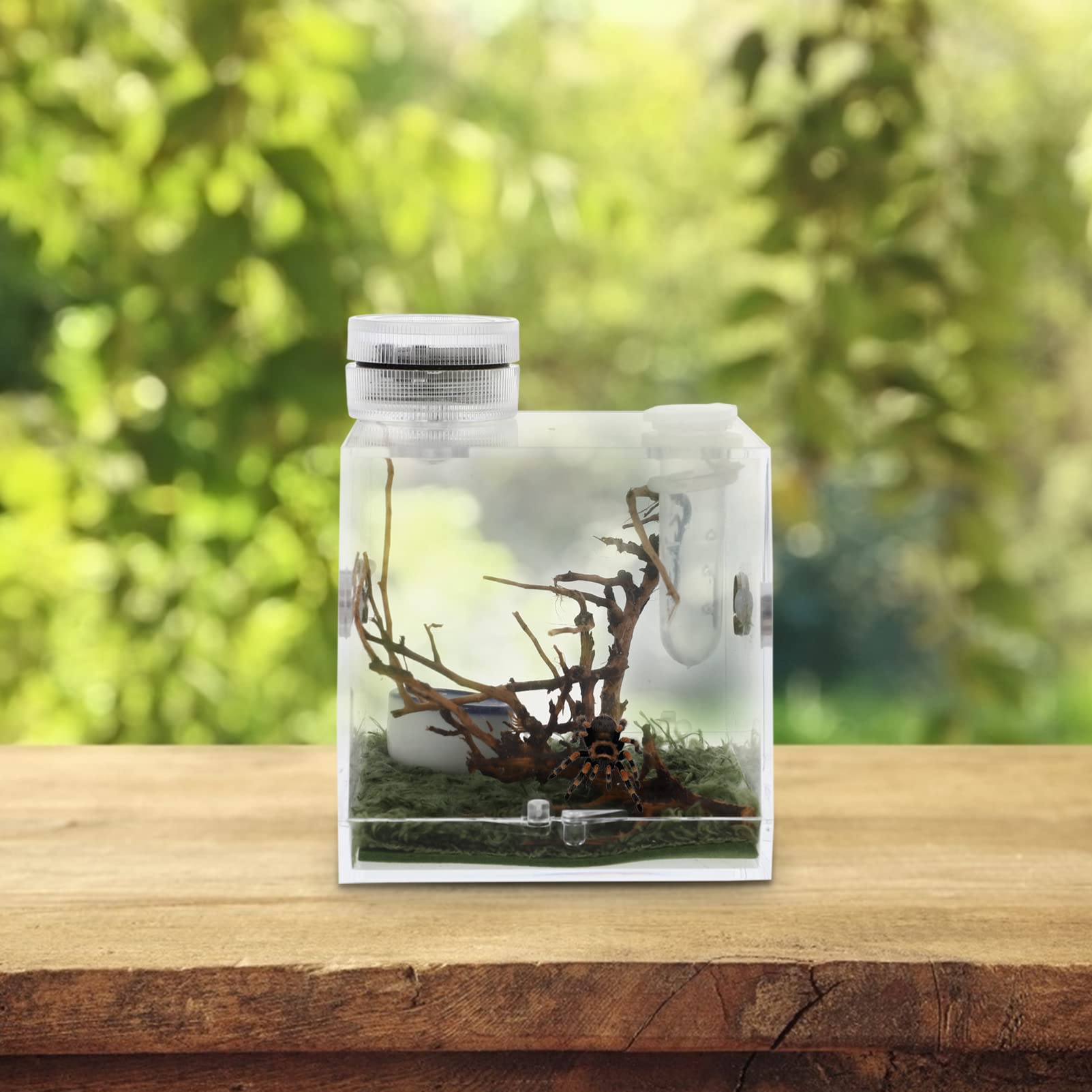 Premium Acrylic Reptile Terrarium with Built-in LED Light - 20 Gallon Transparent Spider Enclosure Habitat for Tarantulas, Lizards & Small Pets - Perfect for Home, Office or Classroom Display