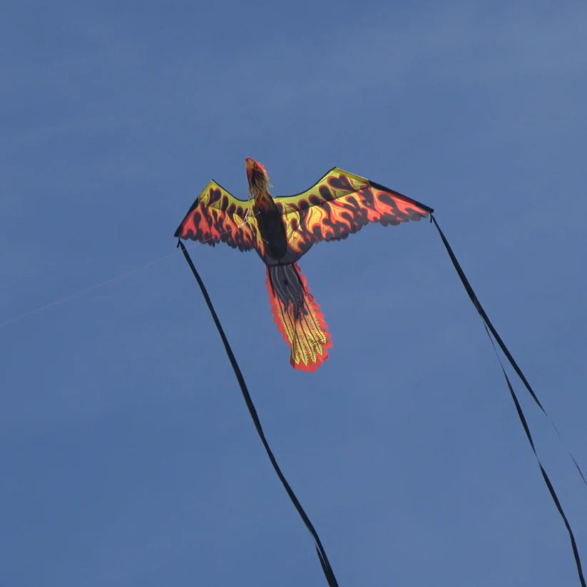 WindNSun Supersize 3D Firebird Phoenix Kite - Large Flying Kite for Outdoor Activities, Beach, Park & Family Fun