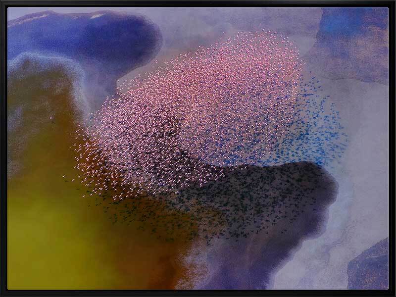Vibrant Flamingo Canvas Art Print - Tropical Wall Decor for Living Room, Bedroom & Office