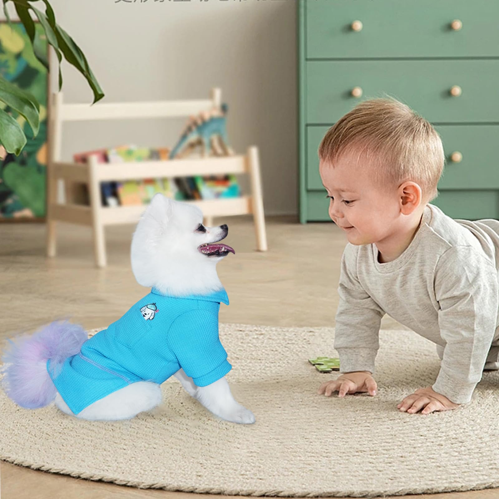 Dog T-Shirt with Sports Collar for Small & Medium Dogs - All Seasons Pet Clothing (Brilliant Blue, Size L) | Perfect for Daily Walks, Pet Parties & Outdoor Adventures