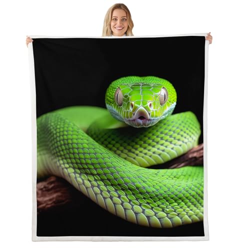 Snake 3