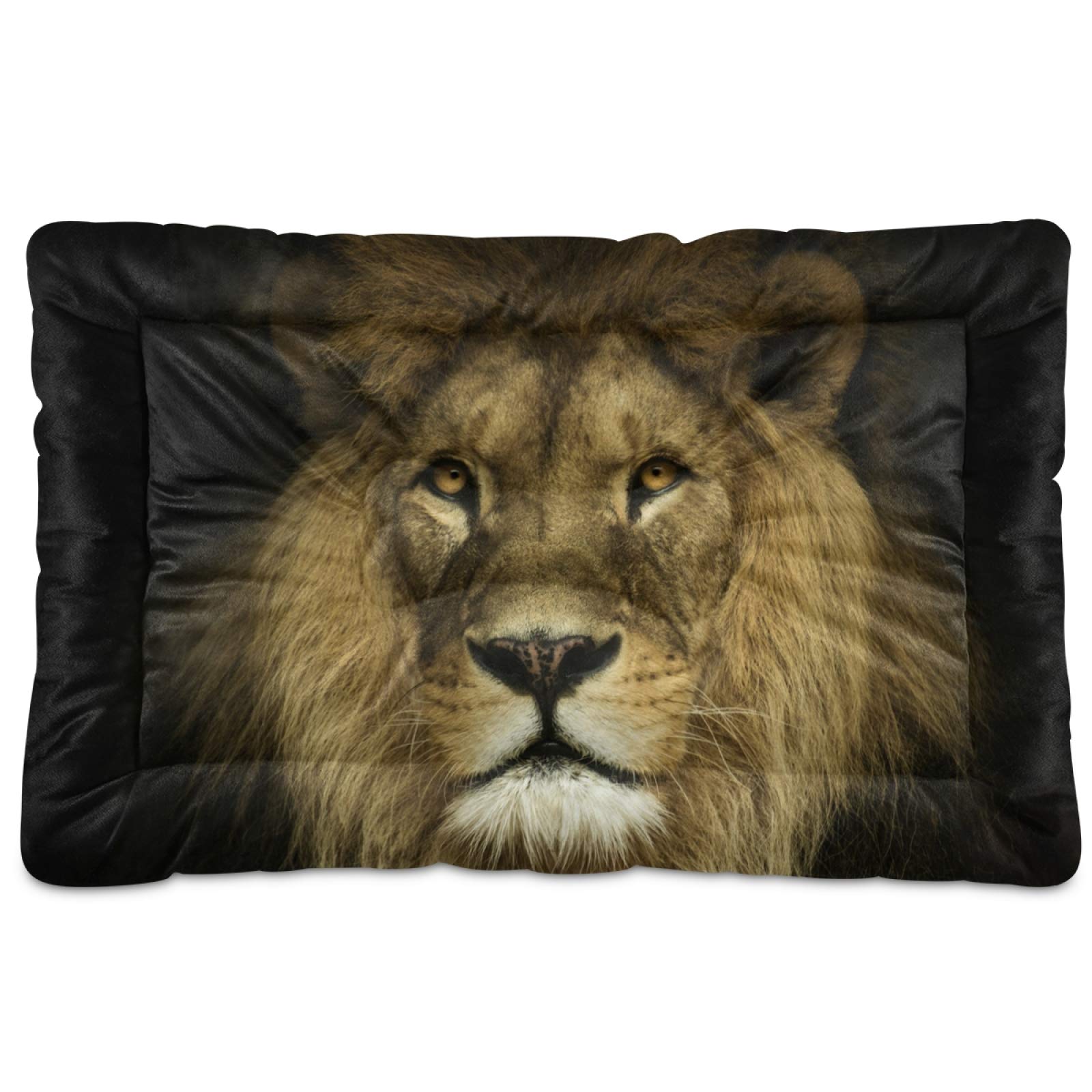 KEEPREAL Natural Portrait Lion Dog Bed - Ultra Soft Rectangle Pet Bed for Small & Medium Dogs & Cats (24x18 Inch) - Calming Comfort for Living Room, Bedroom & Pet Travel