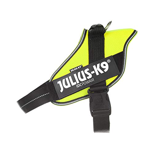 (Idc Powair) Neon