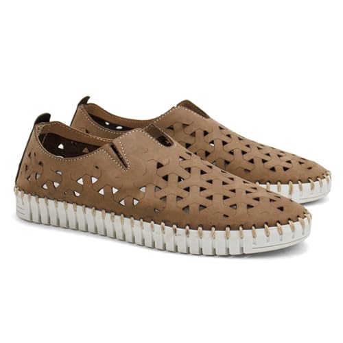 Safari